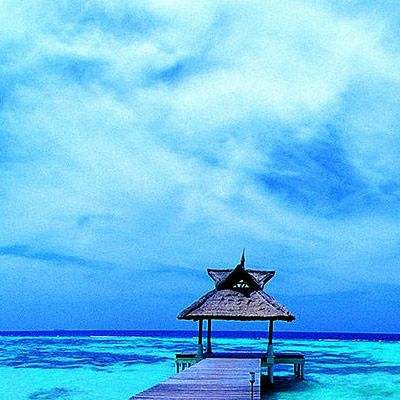 万博manbet登录手机版