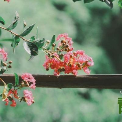 Kaiyun(云开)体育App